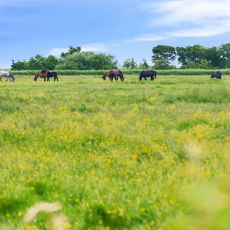 Dom wakacyjny Janin - 400m From The Sea By Interhome