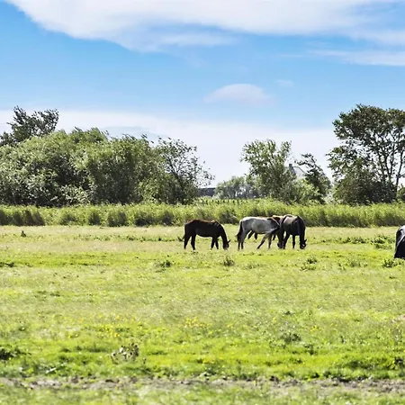 Janin - 400m From The Sea By Interhome *