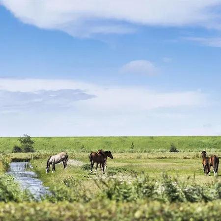 Janin - 400m From The Sea By Interhome * Højer