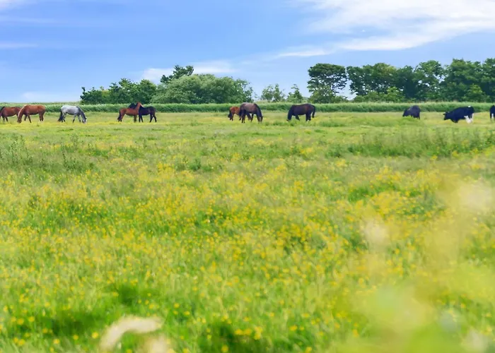 Ferienhaus Janin - 400m From The Sea By Interhome