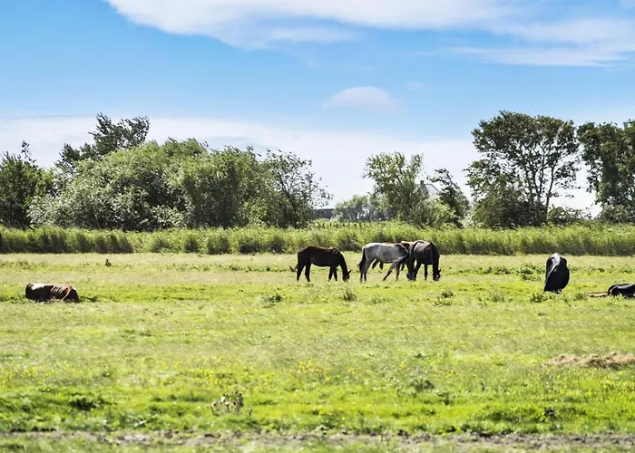 Janin - 400m From The Sea By Interhome *