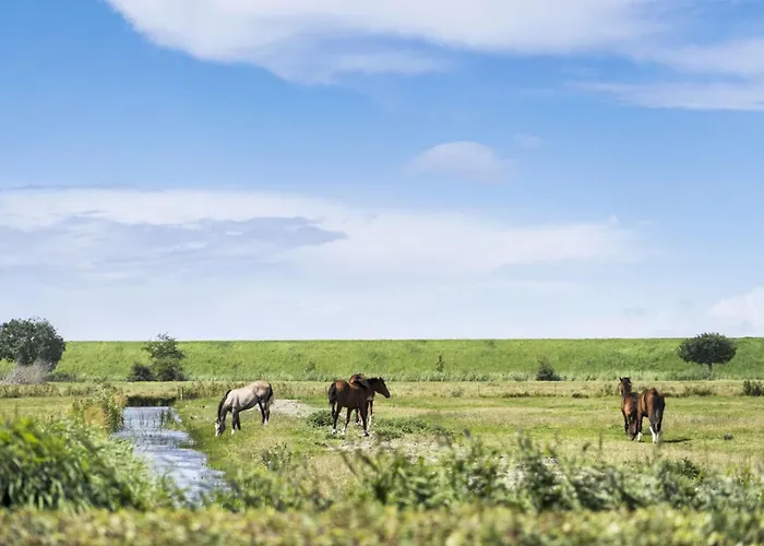 Janin - 400m From The Sea By Interhome * Højer